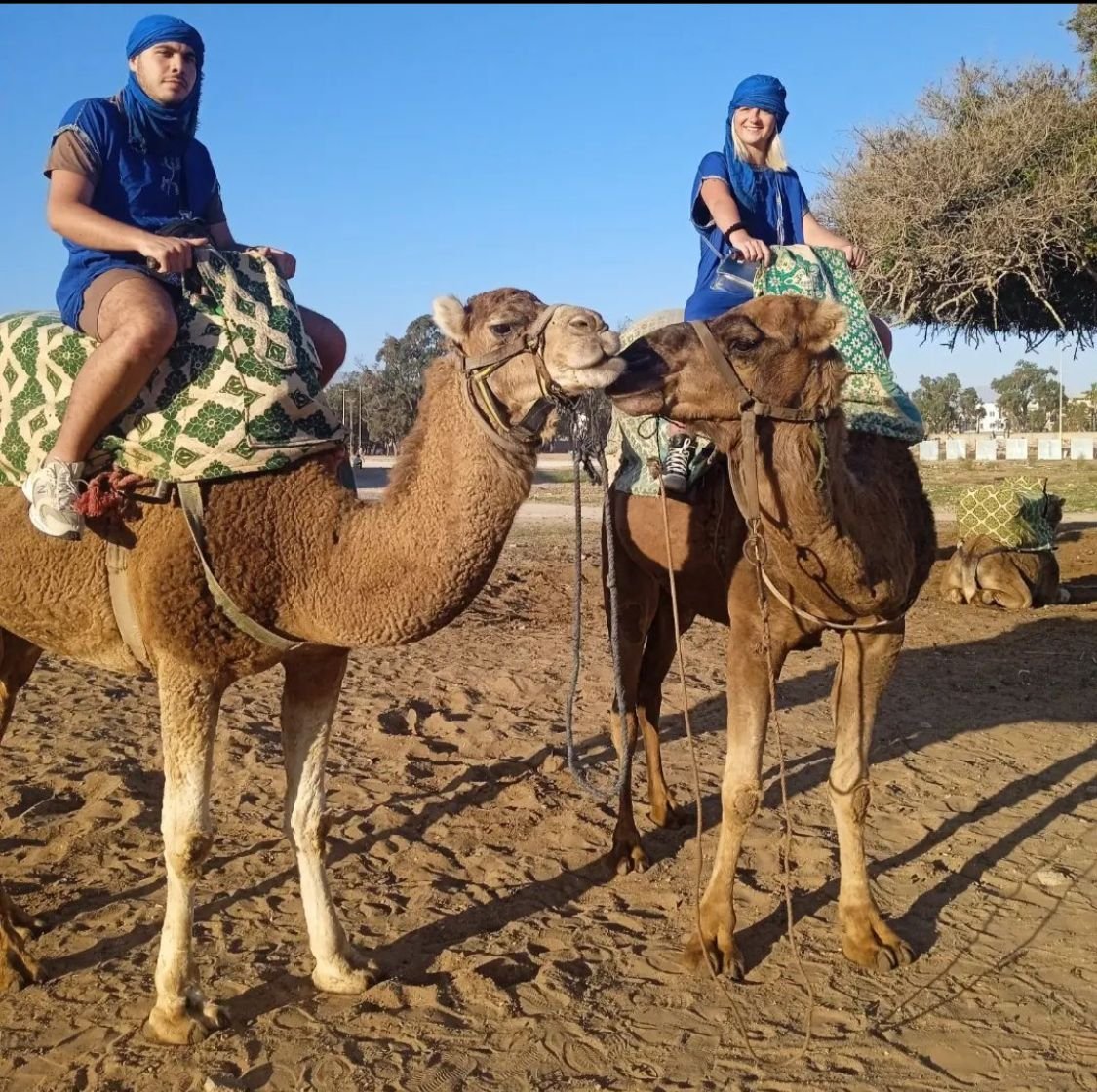 Balade à dos de dromadaire à Agadir