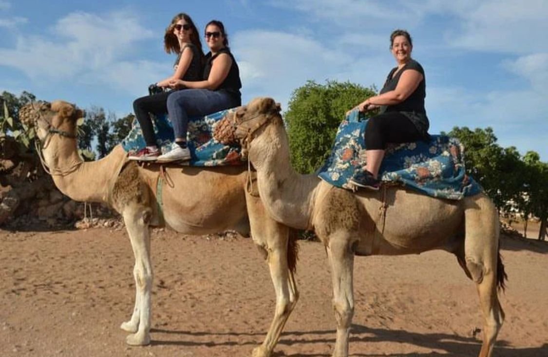 Balade à dos de dromadaire à Agadir