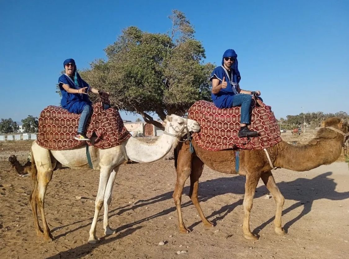 Balade à dos de dromadaire à Agadir